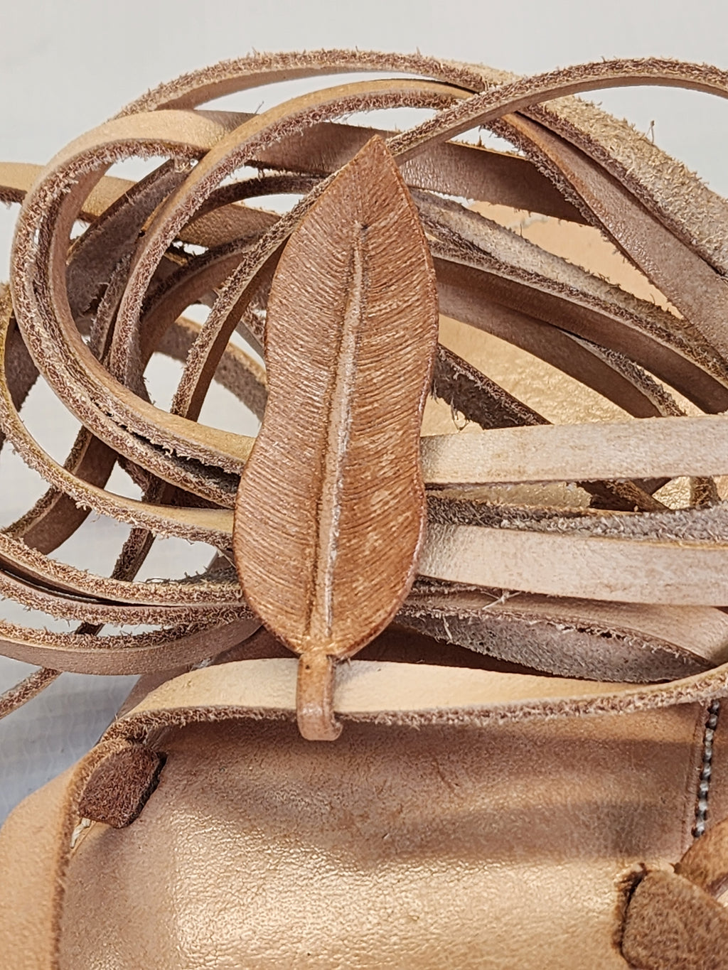 La Nobleza del Cuero en su Estado Puro. Colección IBIZA